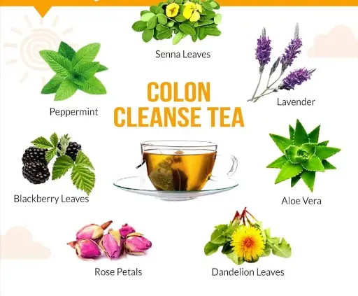 綠茶和番瀉葉排毒茶（20袋）